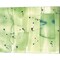 Abstract Green Watercolor by Summer Tali Hilty 15" x 12" Canvas Wall Art (Set of 2)